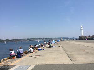 IMG_4393
