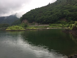 IMG_2279[1]