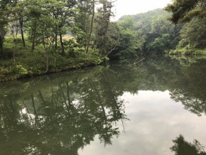 IMG_5052