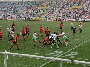IMG_7998