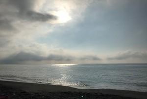 IMG_8215