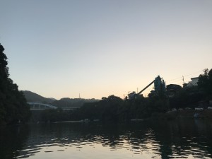 IMG_8233