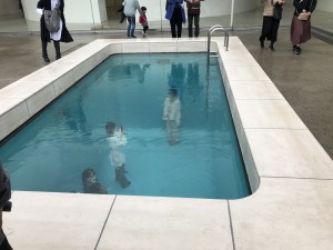 IMG_8486
