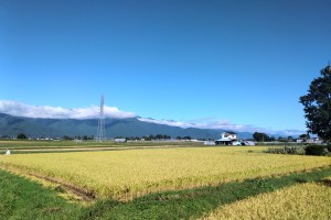IMG_20210919_0829003